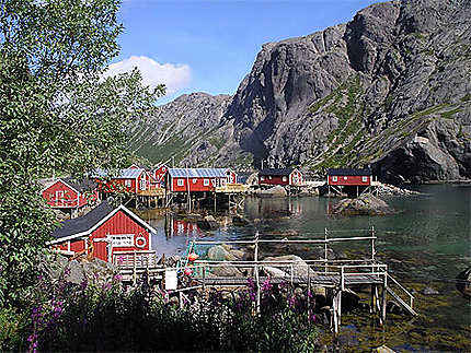 Maisons de pêcheurs à Nusfjord