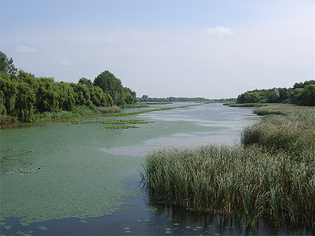 Le Kis-Balaton Le Kis-Balaton
