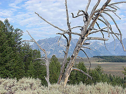 Grand Teton National Park