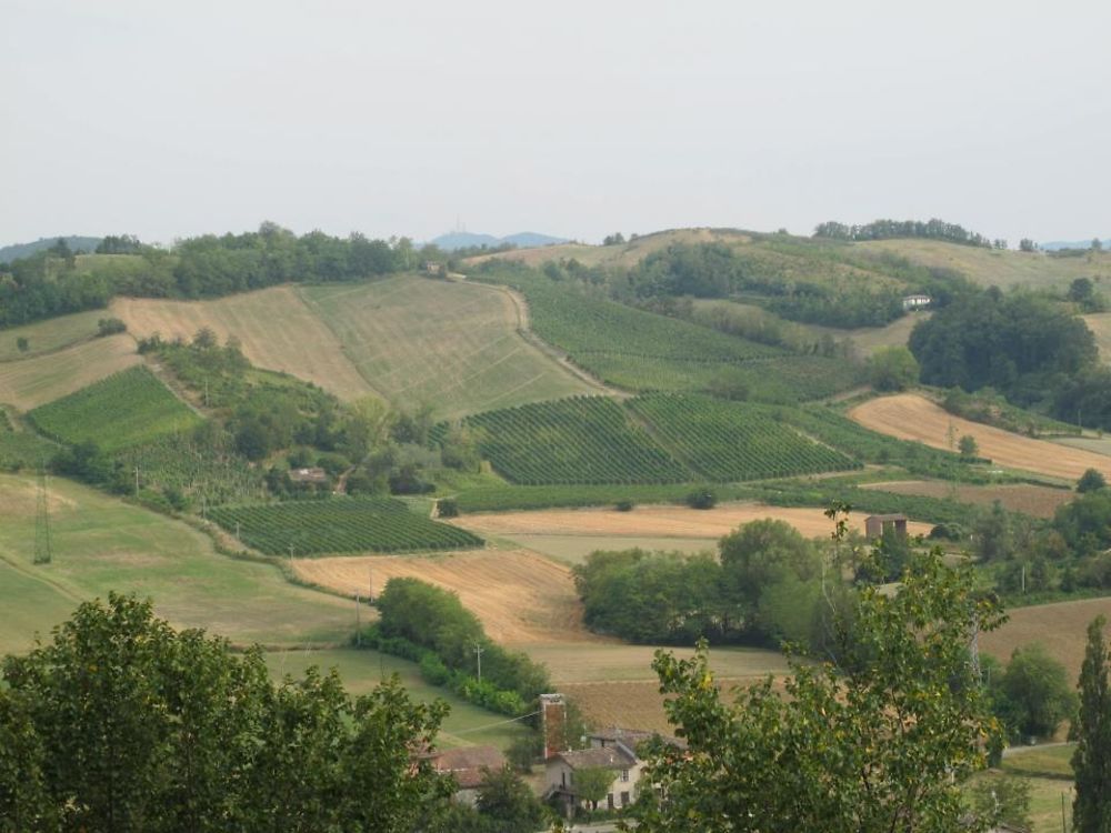 Balade dans la campagne !