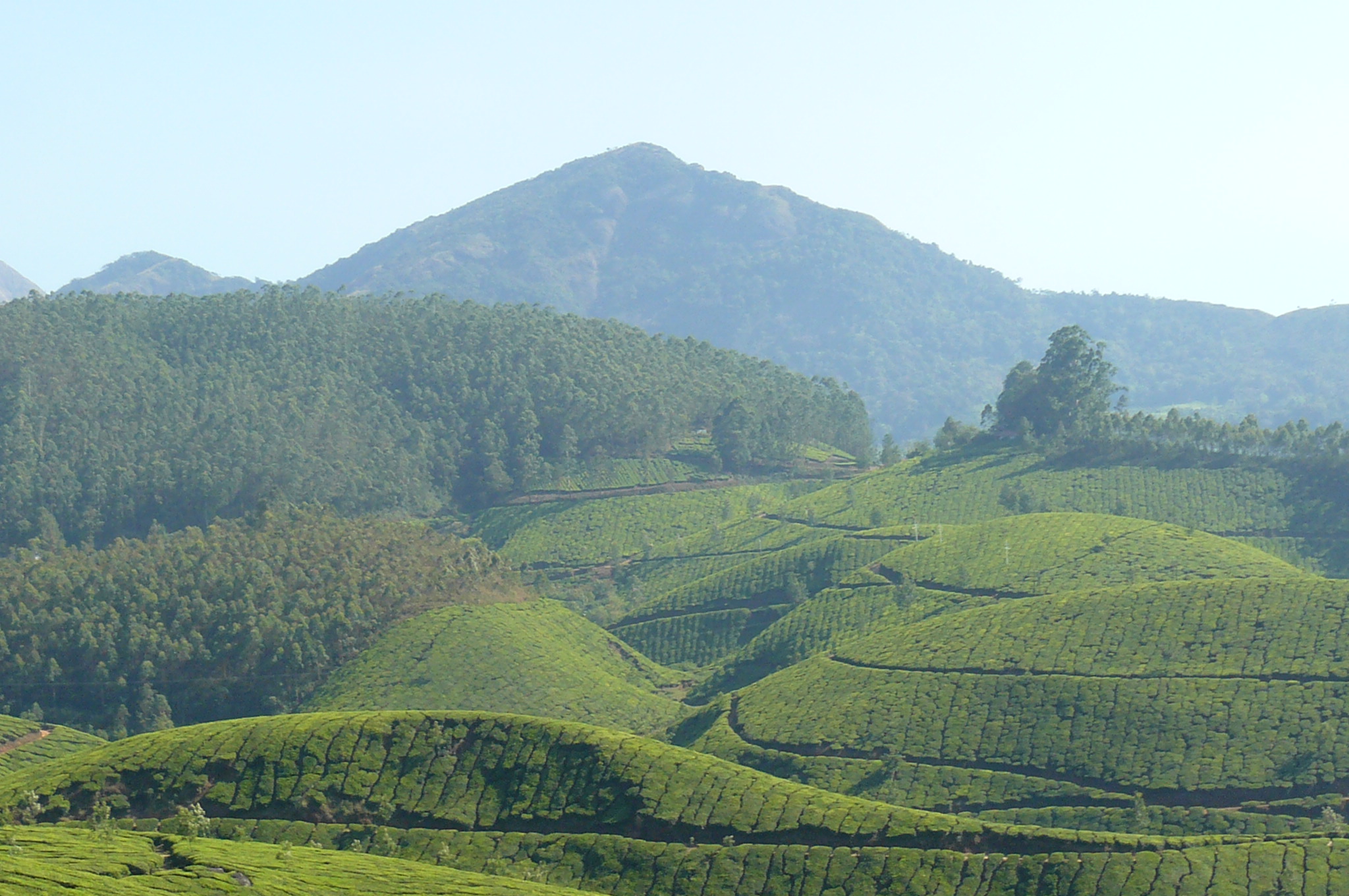 Kodaikanal Kodaikanal