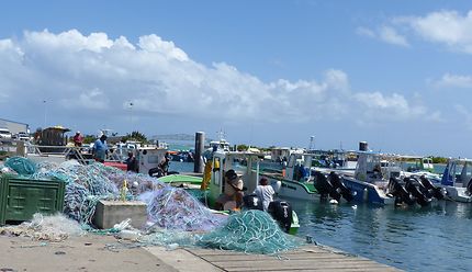 Le port de pêche de St François, Guadeloupe