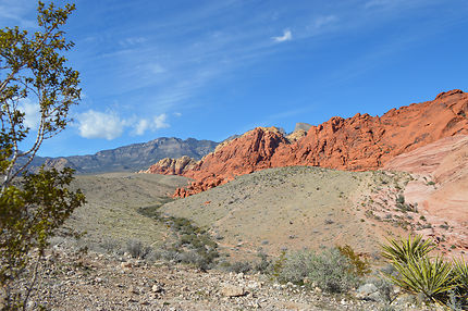 Red Rock Canyon - Nevada - Las Vegas