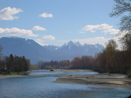 Skagit River sur la route de Ross Lake Skagit River sur la route de Ross Lake