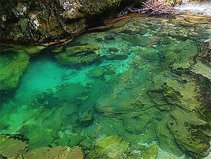 Transparence de l'eau