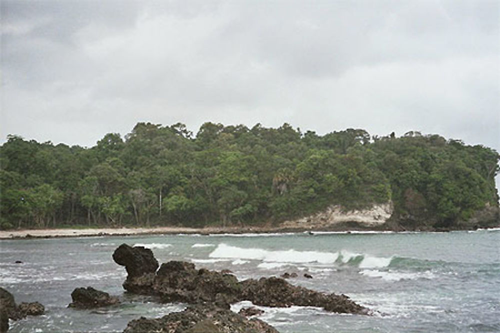 Plage sauvage