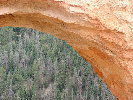 Arche à Bryce Canyon Arche à Bryce Canyon