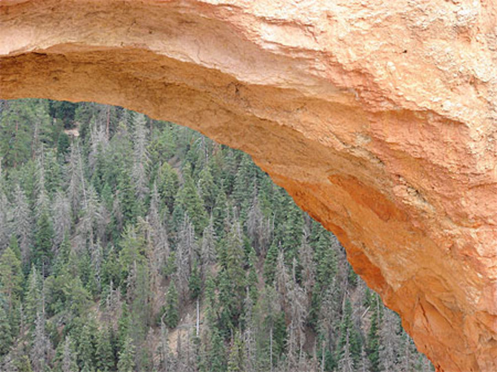 Arche à Bryce Canyon