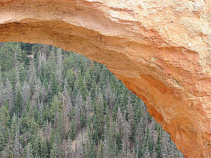 Arche à Bryce Canyon