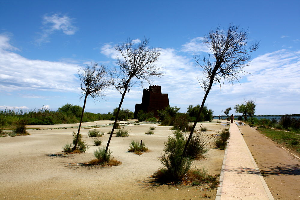 Le Delta de l'Èbre