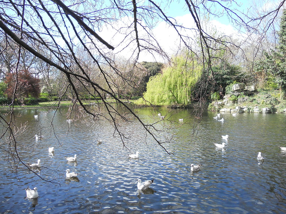 Parc St Stephen's Green