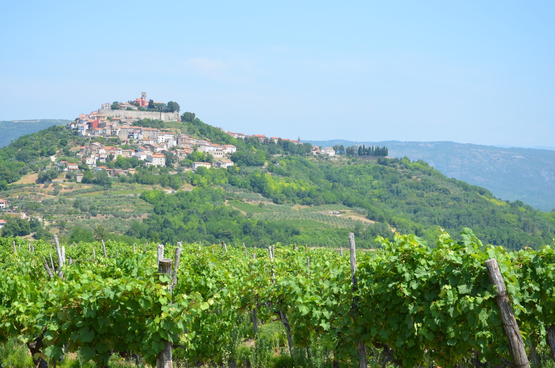 Ville de Motovun Ville de Motovun