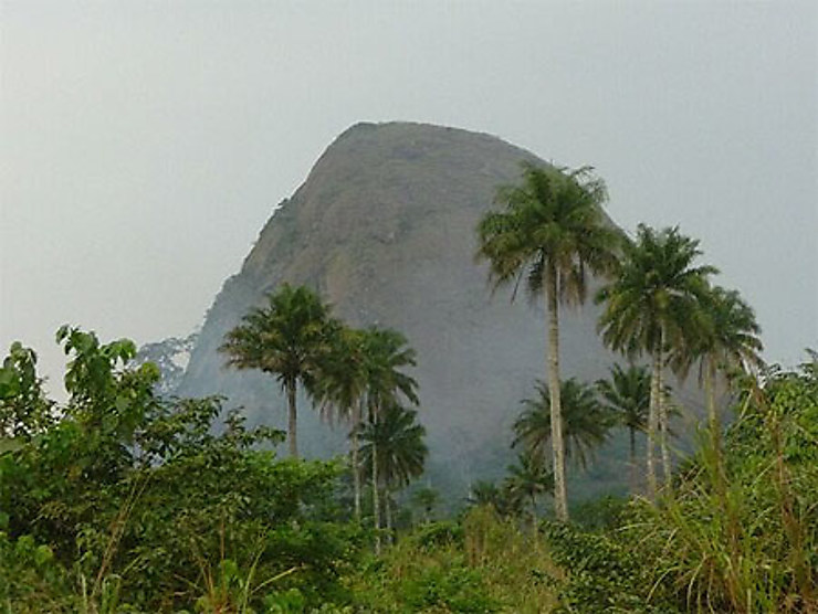 Guinée forestière - koumba