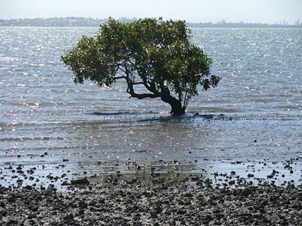 Wellington Point (Cleveland)