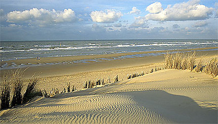 Dunes de Côte d'Opale