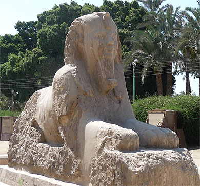Sphinx de Memphis Sphinx de Memphis