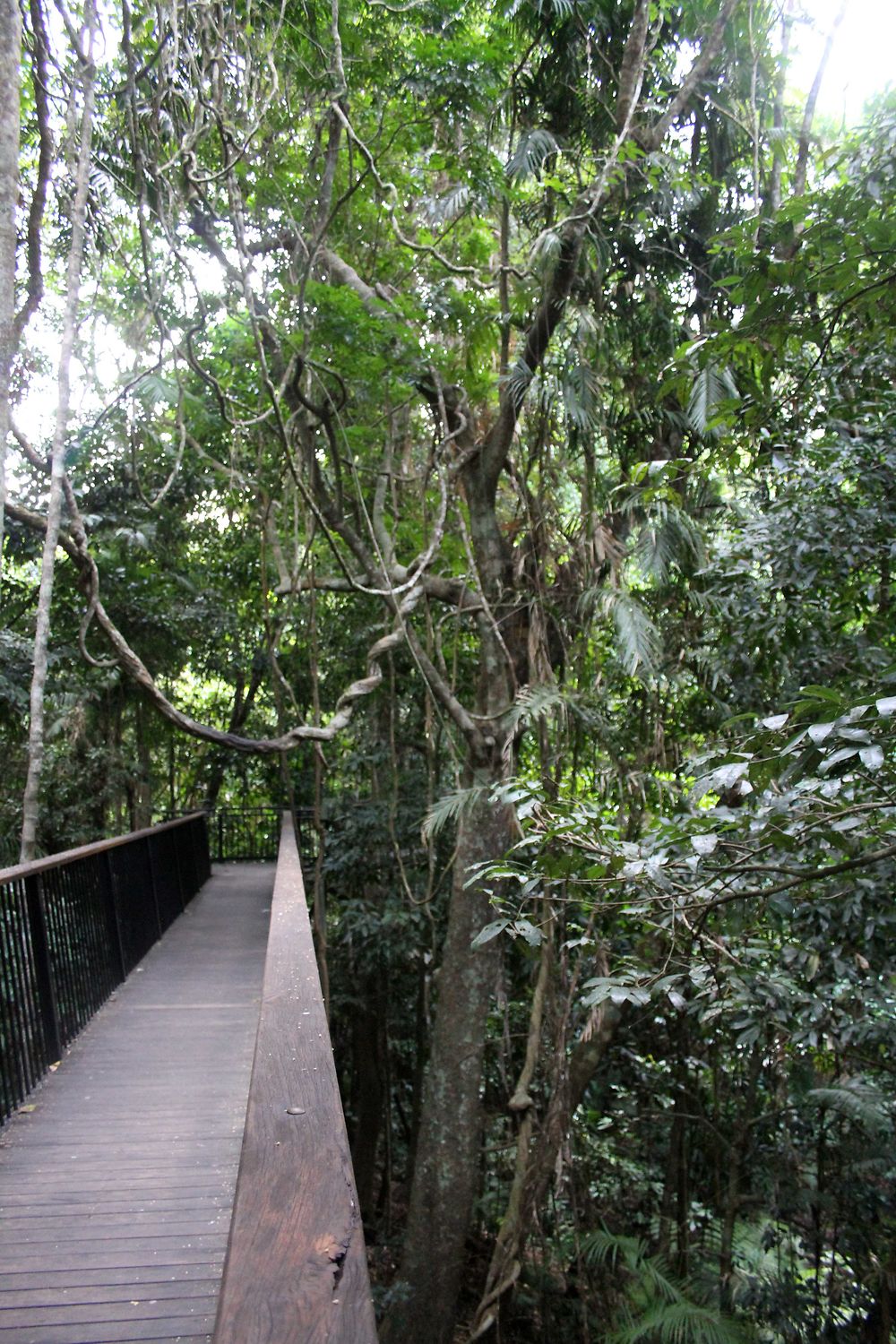 Barron gorge national park