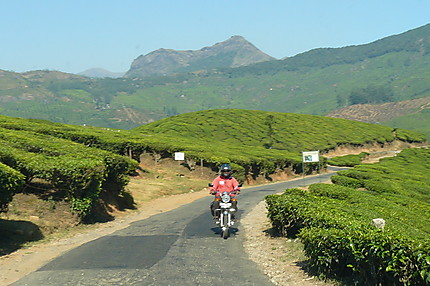 Kodaikanal