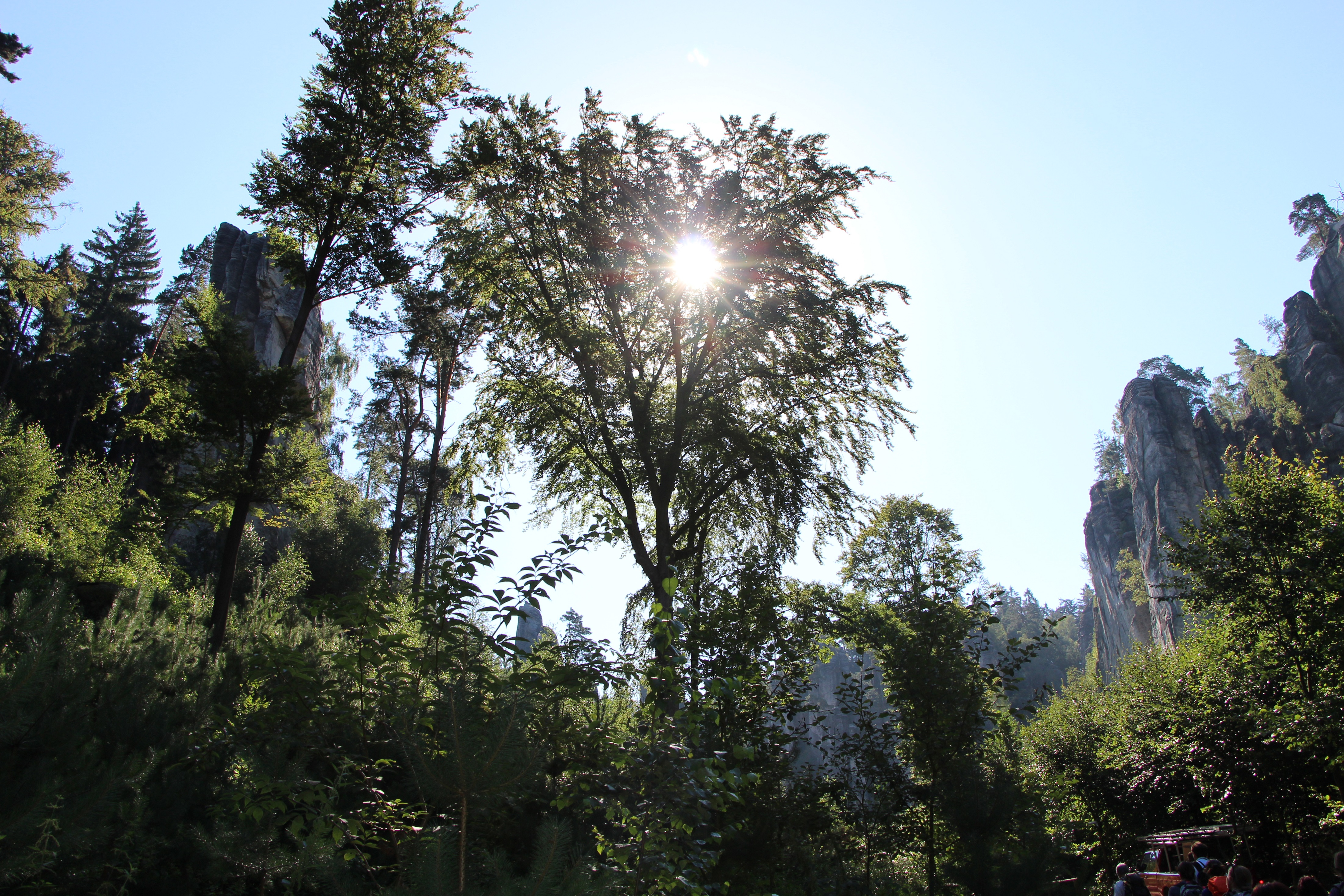 Réserve naturelle de Prachov Réserve naturelle de Prachov