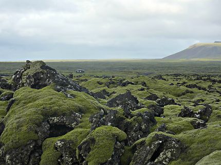 Paysage typique de la péninsule de Reykjanes