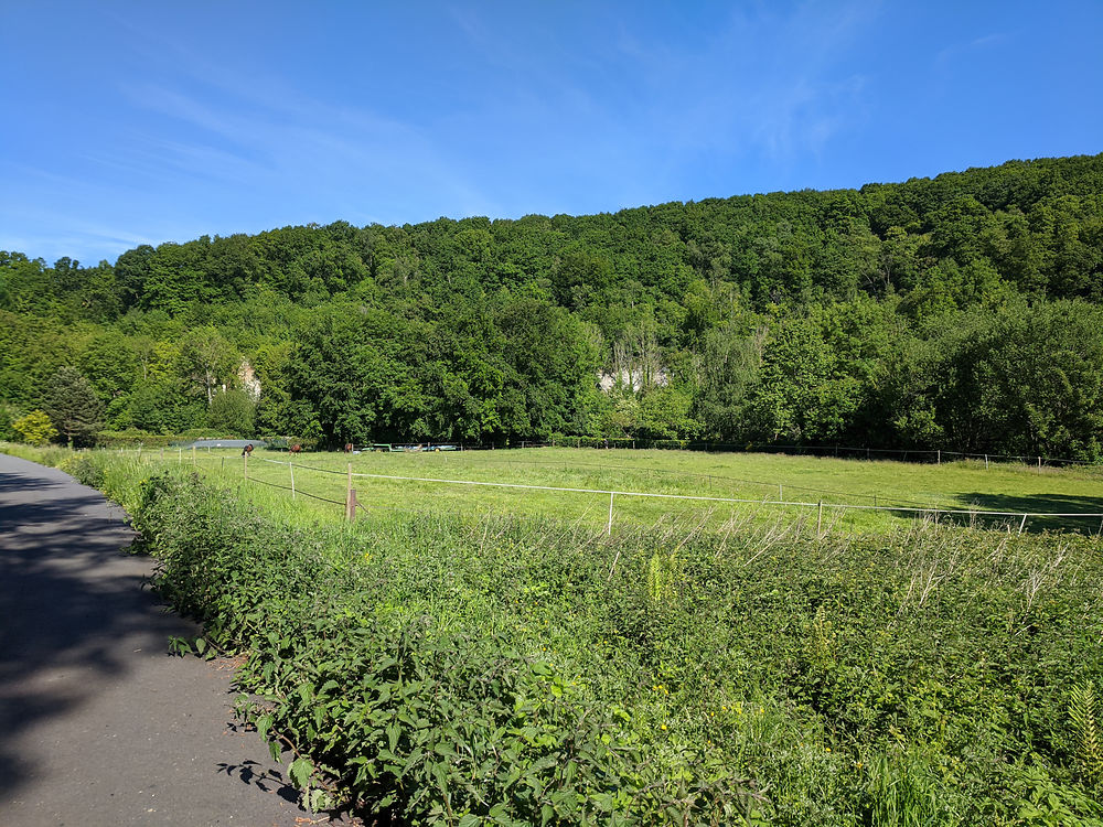 Verdure normande 