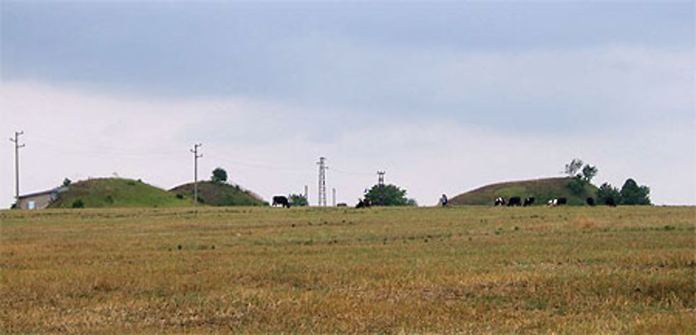 Sveshtari tumulus