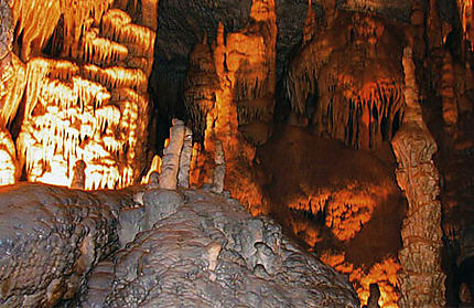 Grotte de Postojna
