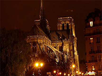Notre-dame by night
