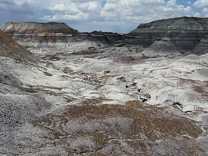 Petrified Forest national Park