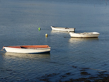 Barques à Arradon
