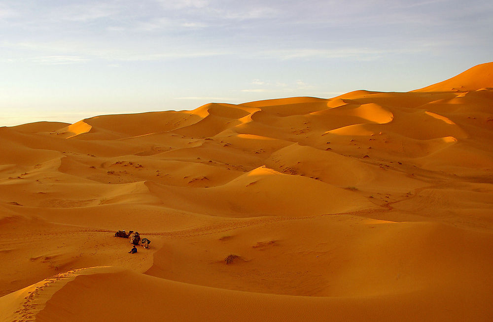 Au milieu du sable