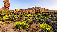 Les Canaries en photos 