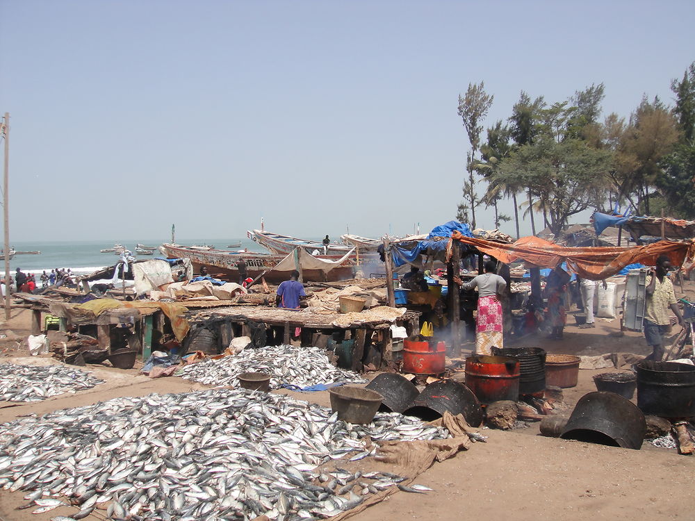 poisson frais sur la plage