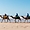 Essaouira, Balade à dromadaire sur la plage