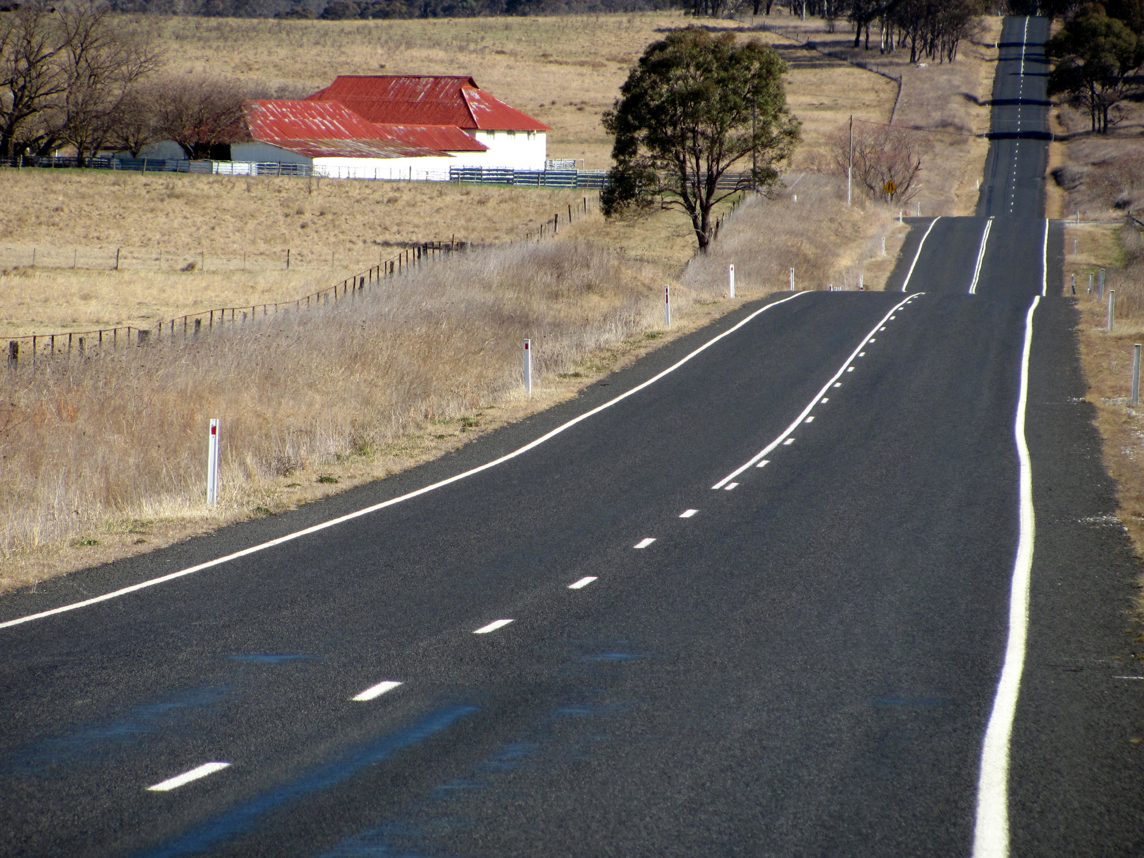 Campagne entre Armidale et Wollomombi, sur la B78. Campagne entre Armidale et Wollomombi, sur la B78.