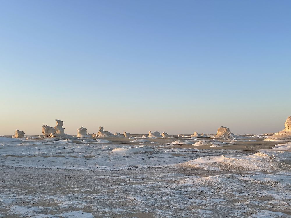 Seule dans le désert blanc