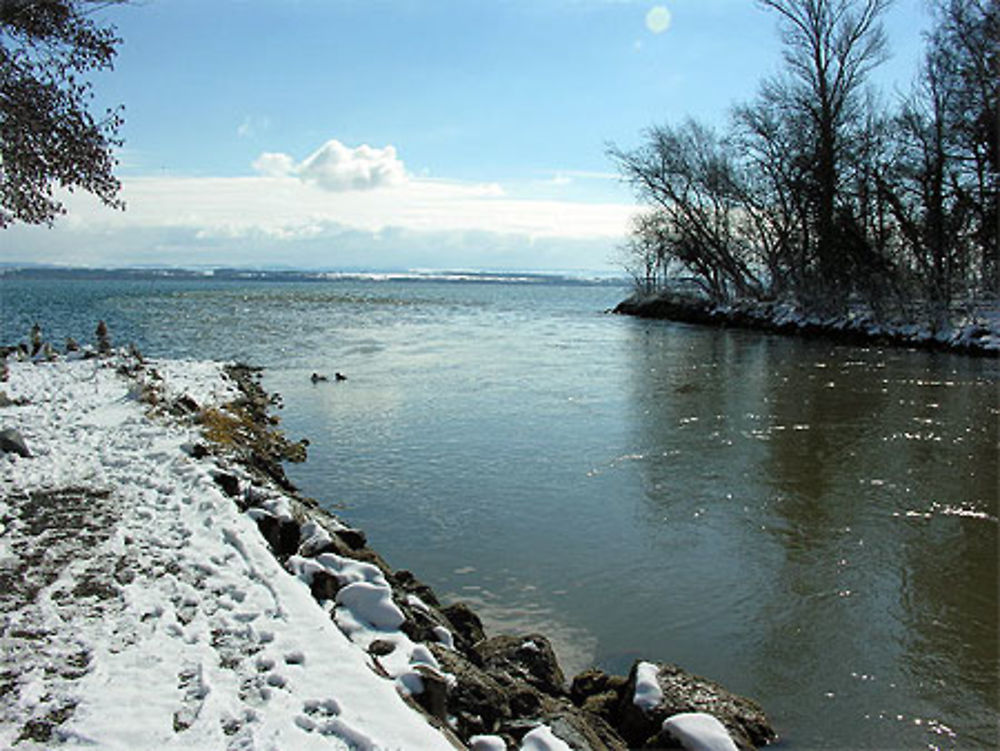 Embouchure de l'areuse sous la neige