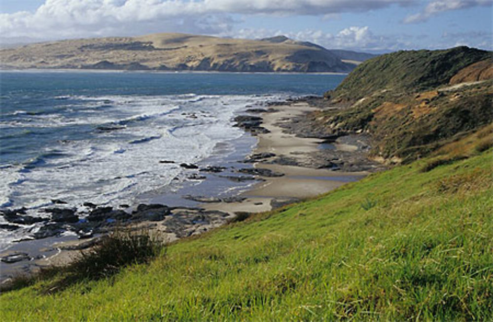 Hokianga Harbour