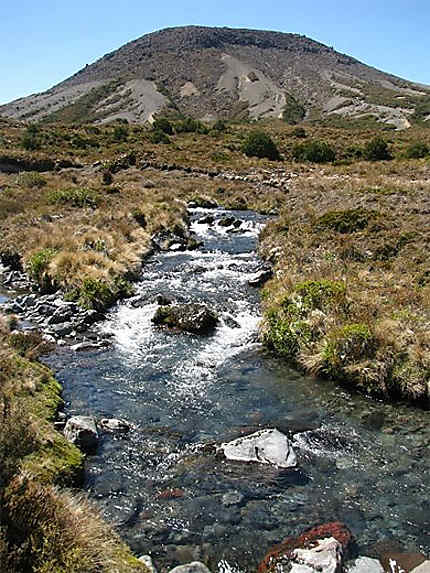 Parc Tongariro