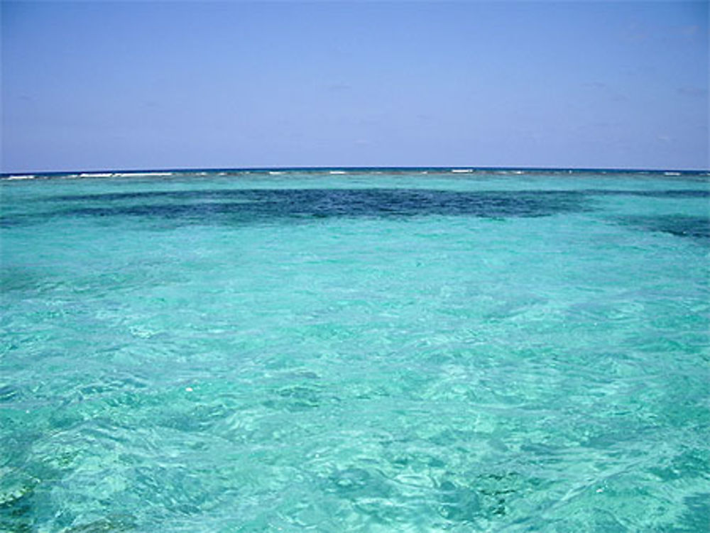 Grande barrière de corail