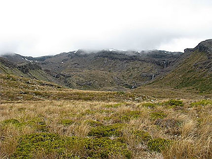 Parc Tongariro