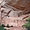Navajo National monument USA