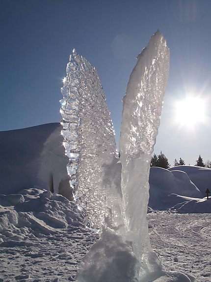 sculpture de glace