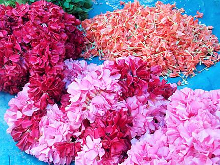 Fleurs au marché de Puducherry