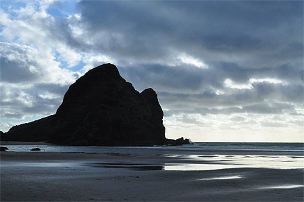 Piha Beach