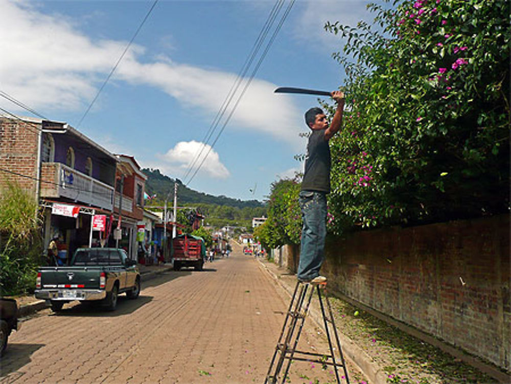 Taillage à la machette