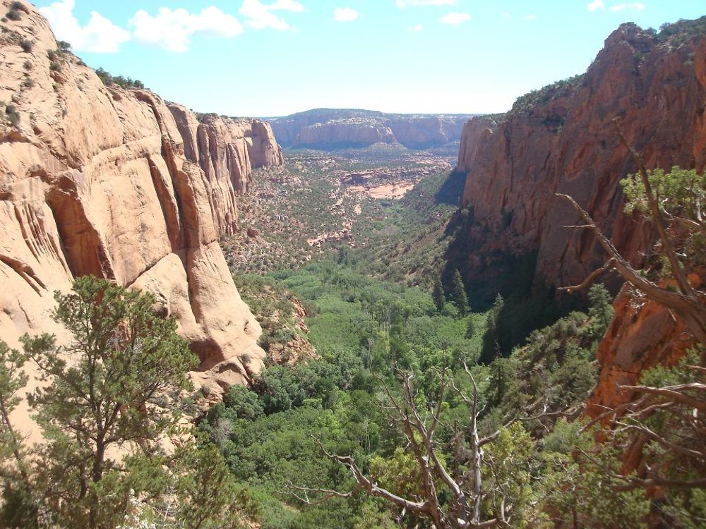 Navajo National monument USA