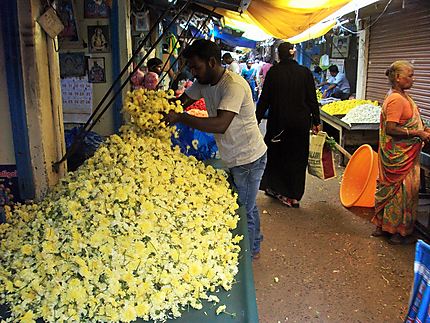 Vendeur de fleurs au marché