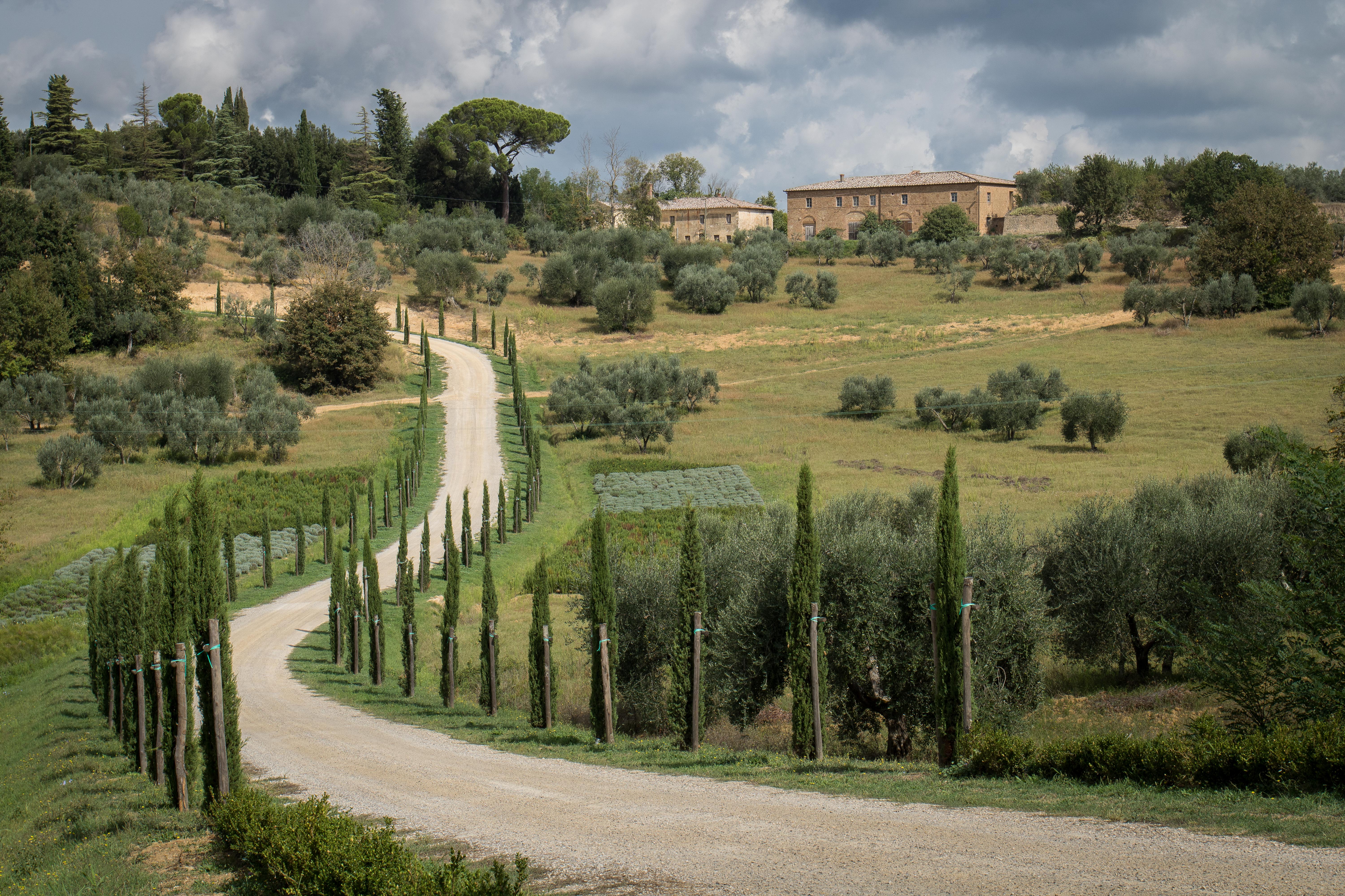Courbes toscanes, route de Pienza Courbes toscanes, route de Pienza