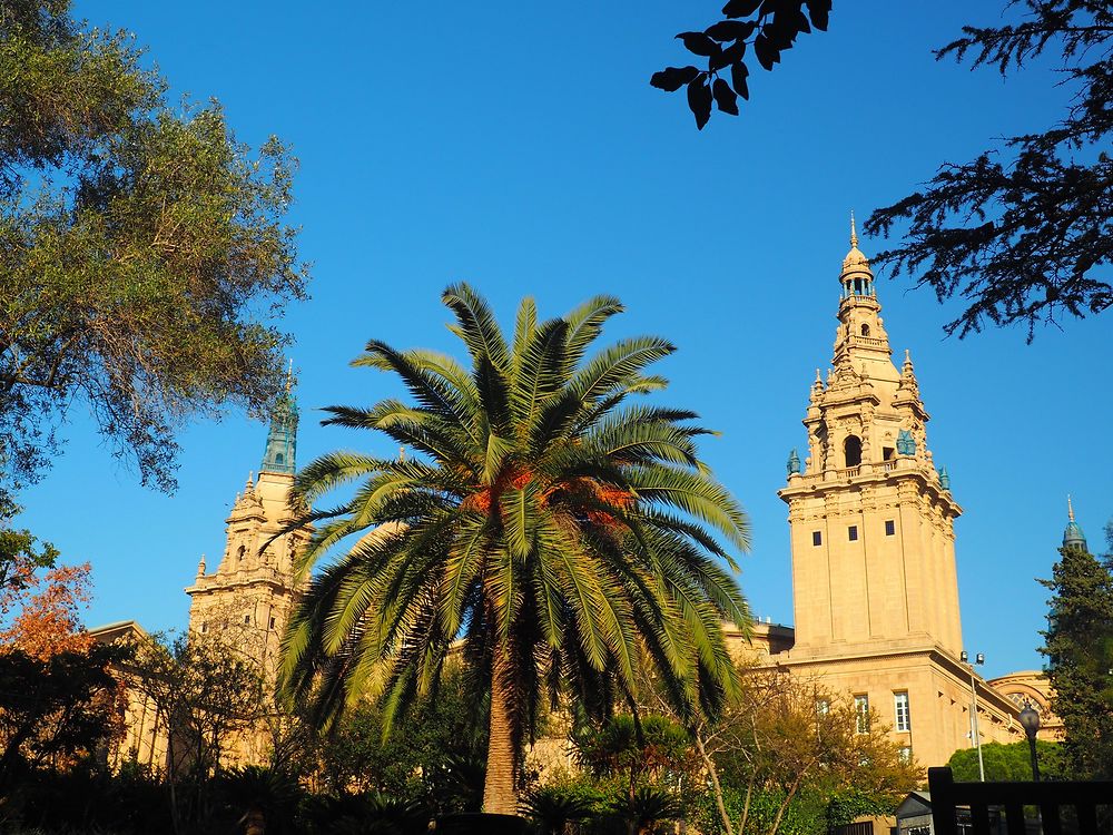 Musée national d'Art de Catalogne